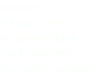 Wagen oder Zelt? Die Auswahl treffen Sie. Wir benötigen auf jeden Fall: Strom: 16 A 10 KWh 400 V Wasser: Frisch.- u. Schmutzwasser